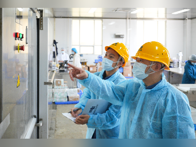 非遗鱼丸火爆出圈,汕头电力护航广货走俏全国