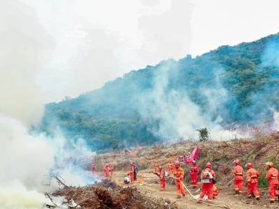 事关春节森林防灭火！广东省森防办：这三类用火是管控重点