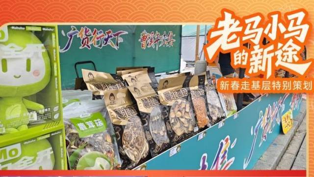 对话广货年味集上的老马小马：特色菌菇走向全球，产销创新高