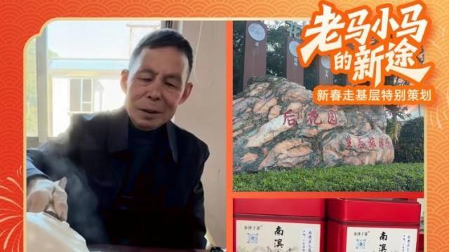 对话迎来宋茶回头客的汕头“老马”：见证特色IP高质量发展