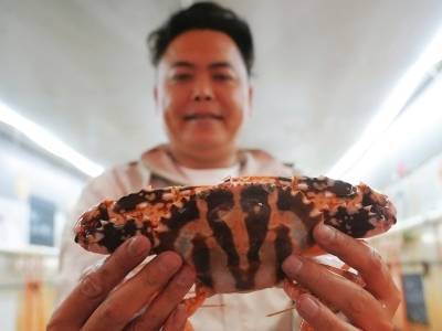 新春走基层｜万亿通道上的“抢鲜人”