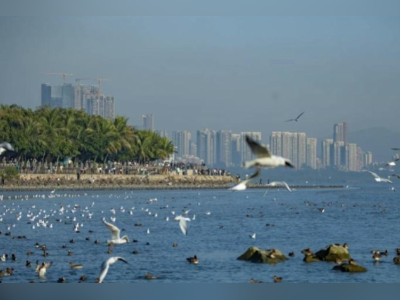 头版头条|深圳市民连提两建议,公园果断拒绝,全网一片赞誉