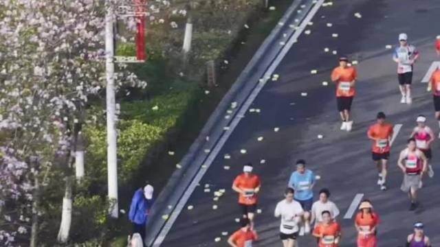 最美花路！2026清远马拉松这条“花海赛道”刷屏了
