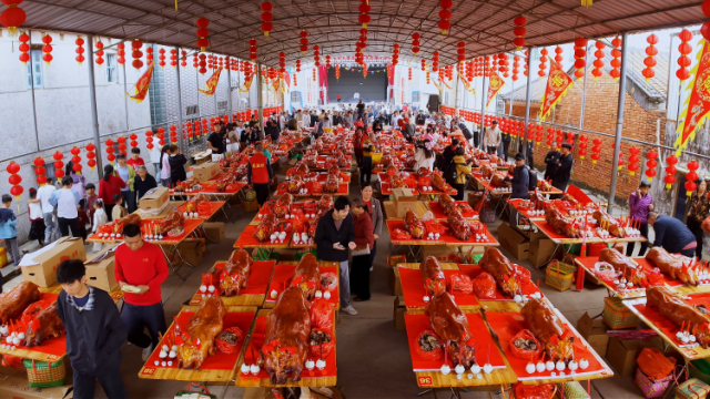 馋哭了！湛江这条村摆“百猪宴”，脆皮乳猪香迷糊了上千人