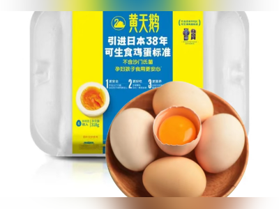 鸡蛋里“含人工合成色素”?黄天鹅董事长回应“色素门”