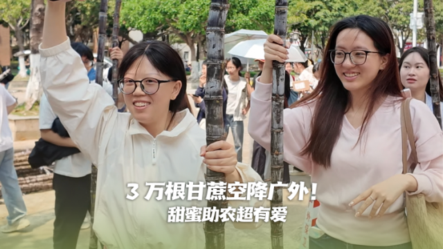 3万根甘蔗空降校园，广外学生甜蜜助农超有爱