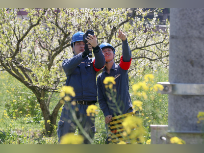 乐昌花海迎来盛季，乐昌供电局贴心服务助力赏花经济