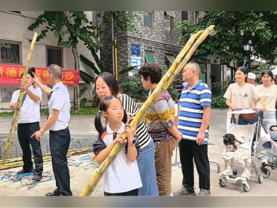 南沙甘蔗滞销？得，猎德收到！担蔗2000条派街坊