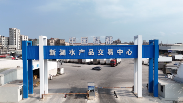 探访湛江现代化“海鲜大卖场”：买海鲜从此告别拥挤嘈杂