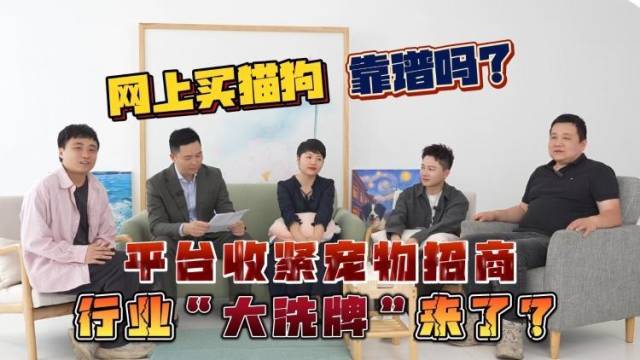 网上买猫狗靠谱吗？平台收紧宠物招商，行业“大洗牌”来了？