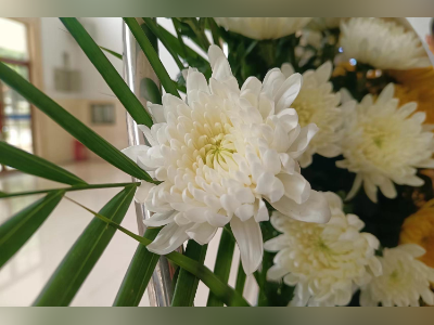 扫除价格迷雾,让“身后事”回归公益