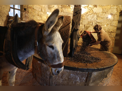 员工不是真“牛马”, “一个顶俩”的工作安排可以不服