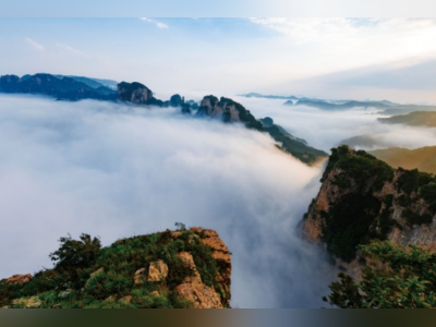 晋城王莽岭附近山火已基本扑灭，未波及景区！曾出动无人机