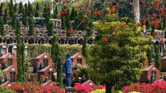 告慰先人也对话自己,今年清明广州超115万市民入园祭扫