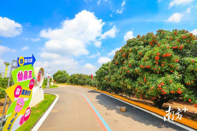 南方农村报 吴秒衡 拍摄