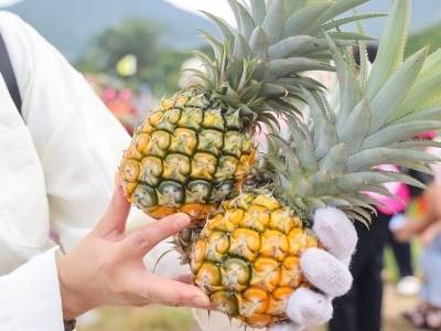 超200项活动！“五一”假期到中山就这样玩