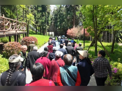 “反向带妈”成潮流！母亲节催热“妈妈团”出动