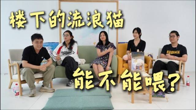 楼下的流浪猫能不能喂？构建宠物友好的城市社区难点在哪？