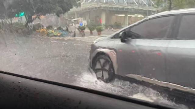 倒水模式开启，广州多区发布暴雨或雷雨大风预警
