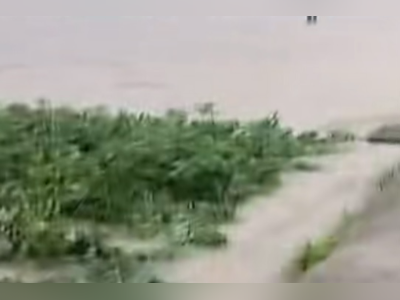 宜昌将迎暴雨，中小学暂停户外教学！三峡人家等涉水项目关闭