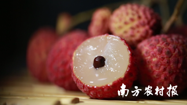 南方农村报 王富迪 拍摄