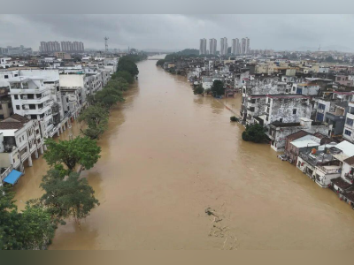 阳江全市河道水位降至警戒水位以下!提醒排查泡水房屋等隐患