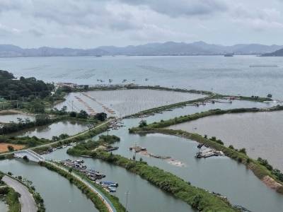中央第四生态环境保护督察组向广东省交办第二十四批群众举报件