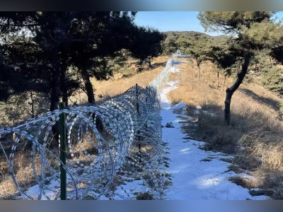 135公里铁丝网围泰山,论证过必要性了吗