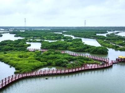 践行习近平生态文明思想的时代答卷