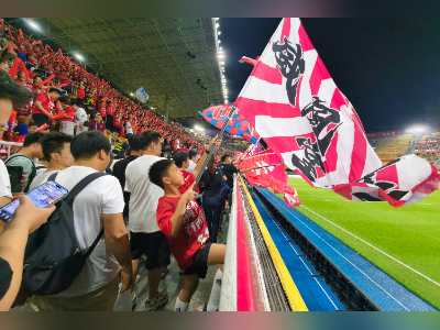 越秀山热爱不落幕!10岁小球迷挥旗助威广州队粤超主场收官