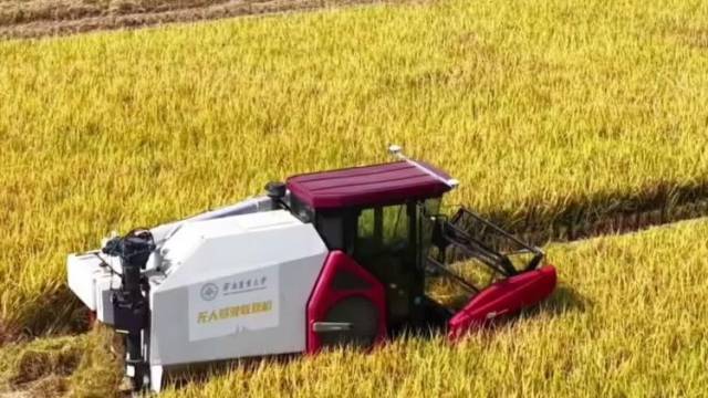 多国专家齐聚“无人稻田”!广东最大的水稻无人农场丰收