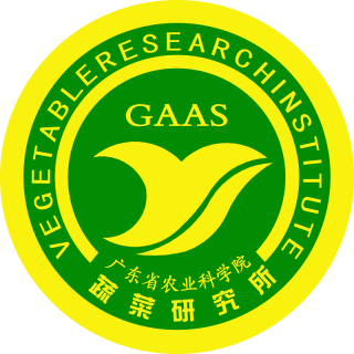 广东省农业科学院蔬菜研究所