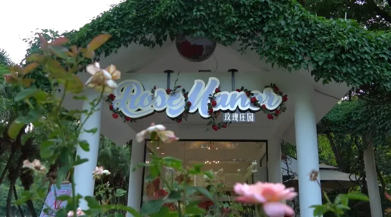 玫瑰庄园咖啡店 龚静摄 玫瑰庄园咖啡店 龚静摄