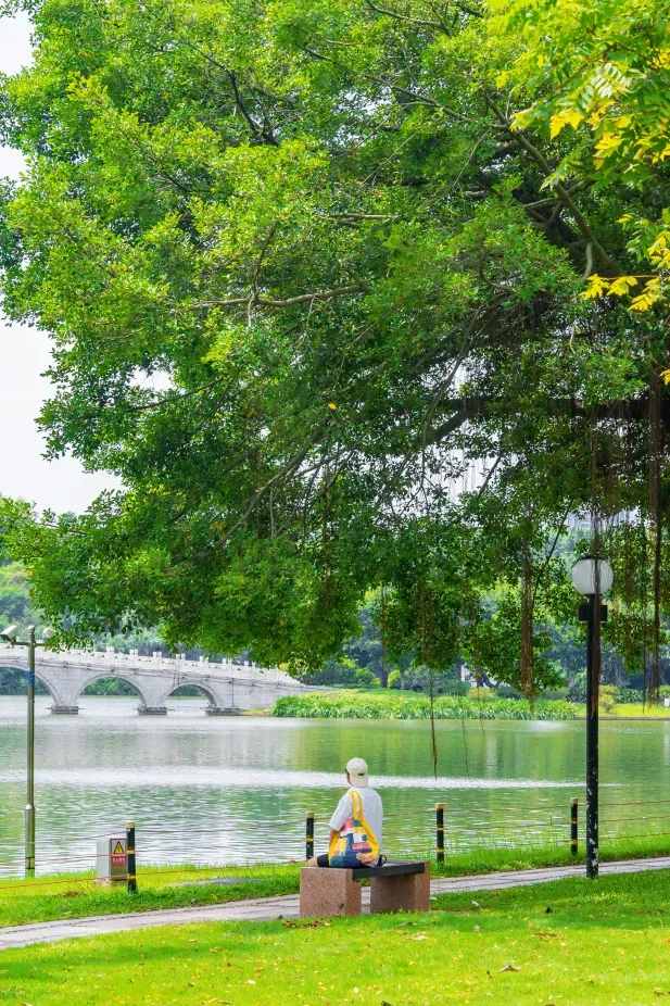 图源:@ELi 江门 图源:@ELi 江门