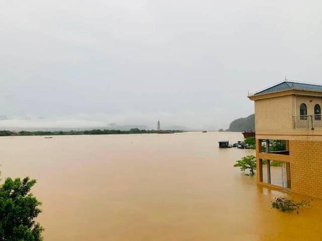 新一轮暴雨要来？！暴雨过后，出现这类症状及时就诊→
