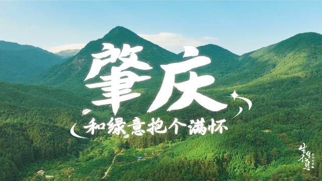 与自然共生| 肇庆，和绿意抱个满怀！