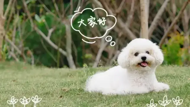 与自然共生|深圳，神奇动物在身边！