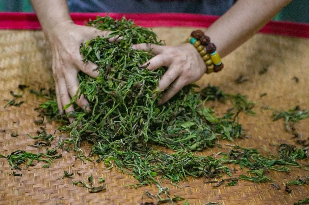 欧蕊荣 摄 欧蕊荣 摄