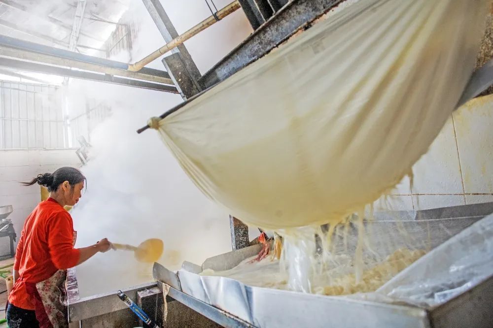 欧蕊荣 摄 欧蕊荣 摄