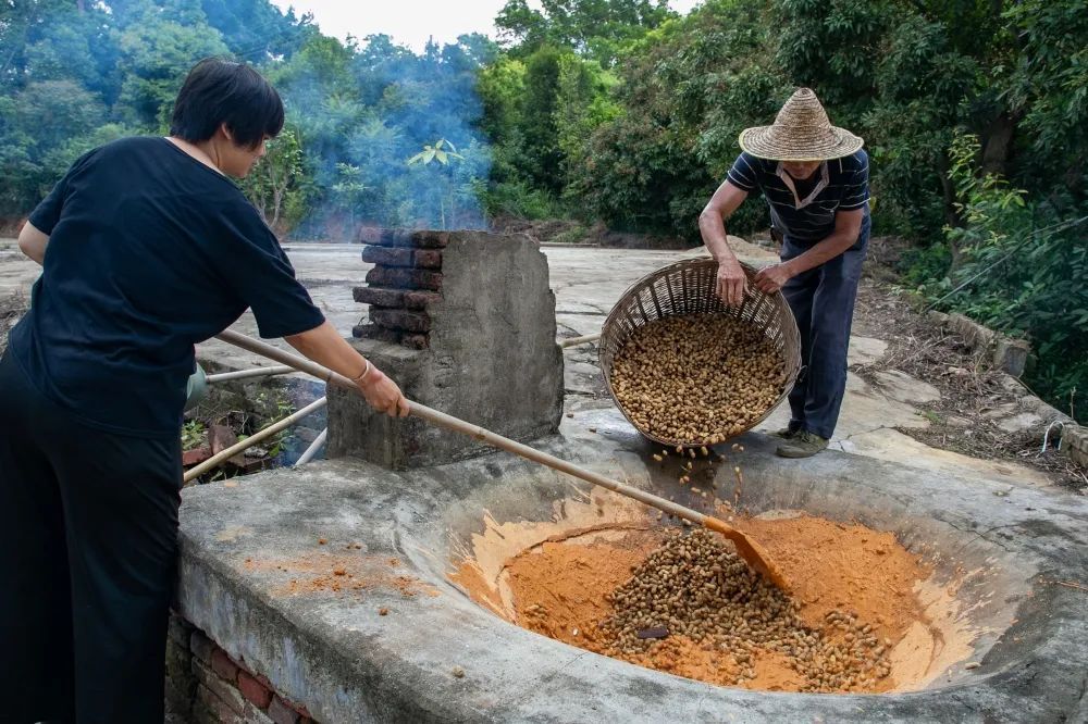 欧蕊荣 摄 欧蕊荣 摄