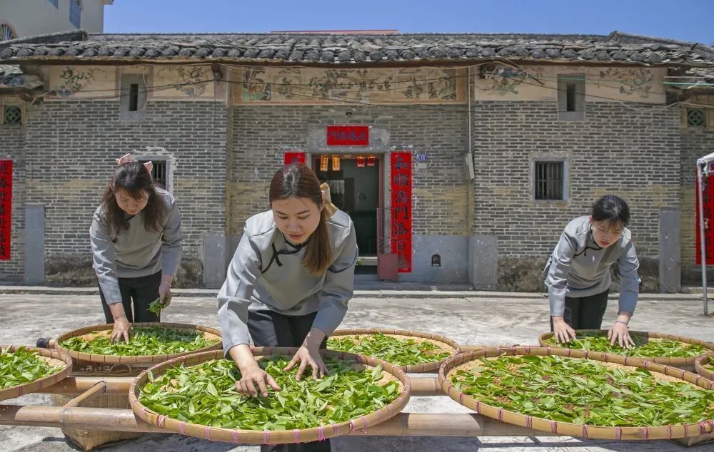 欧蕊荣 摄 欧蕊荣 摄