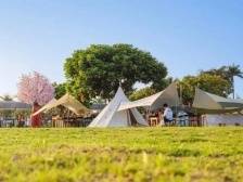 去不了阿勒泰，先去南沙这些地方解解馋