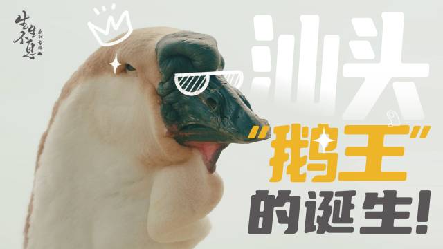 与时代共振| 汕头，“鹅王”的诞生！