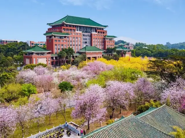 欢迎来广州，上！大！学！