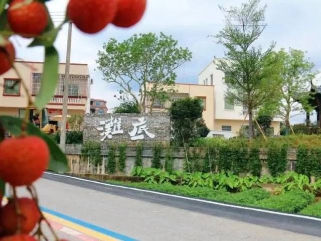 纷至沓来！众多剧组到高州滩底踩点，筹拍短剧，以独特的方式欢度国庆→