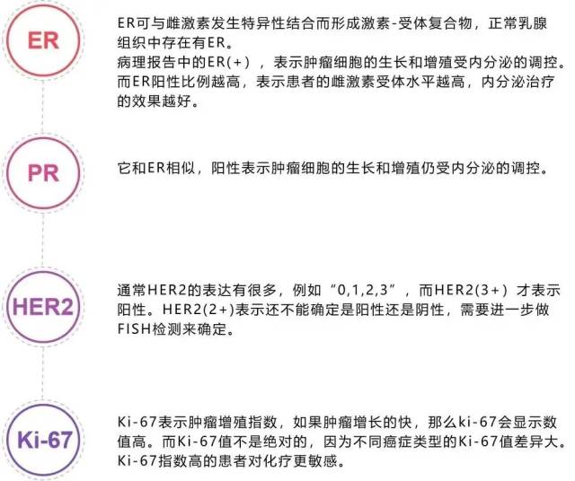 一图了解乳腺癌的分子分型及治疗方法_南方+_南方plus