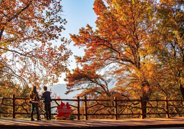 石门国家森林公园