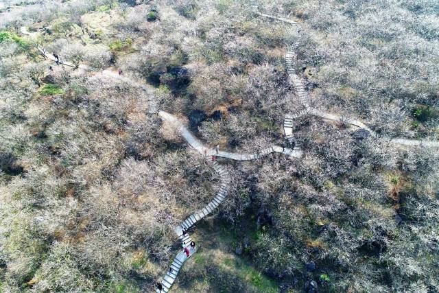 流溪河国家森林公园