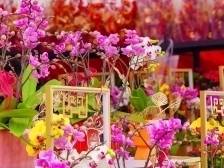 准备开逛！珠海这里有花市