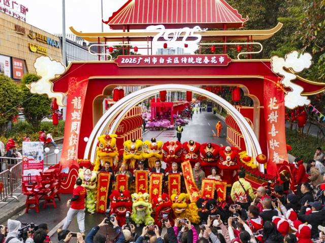 14米长“福蛇”、5.5米高桃花王！白云迎春花市热闹开市